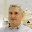 Paulo Aguiar